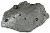 Plate of Seven Red Embers Garnets in Graphite - Massachusetts #375803-1